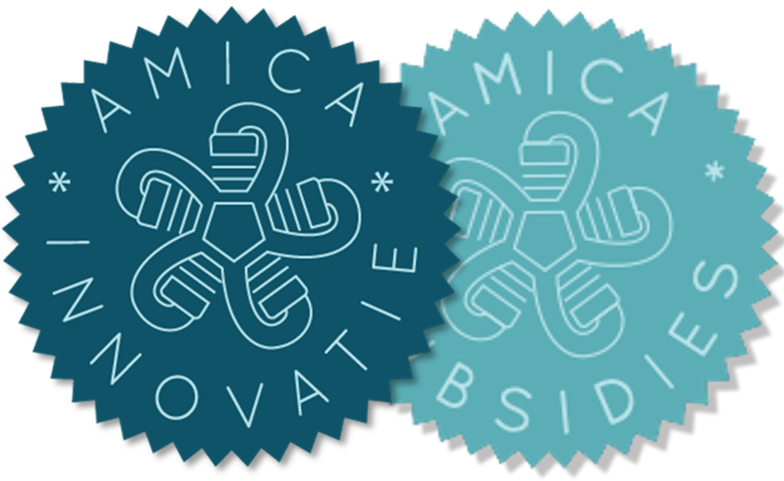 AMICA SUBSIDIES